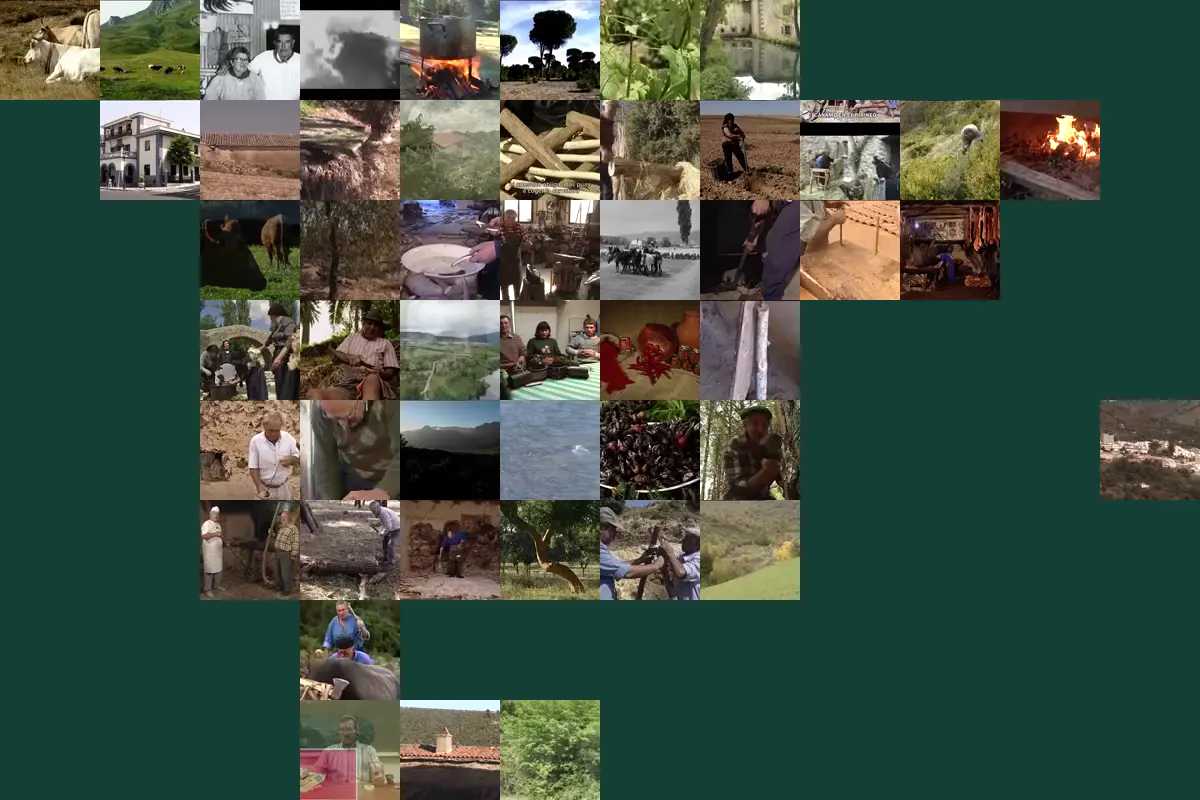 Mosaico de fotogramas con el contorno de España